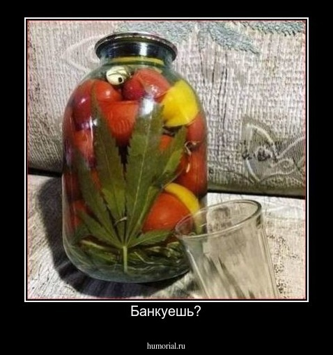 Банкуешь?