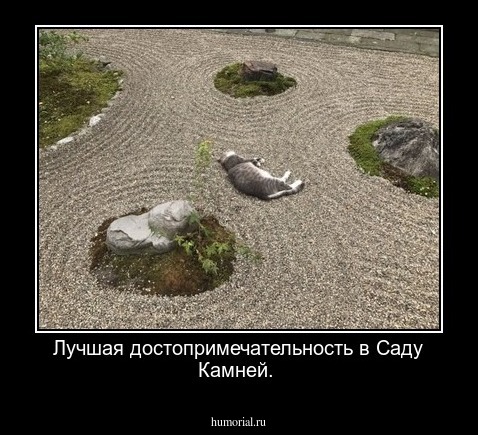 Лучшая достопримечательность в Саду Камней.