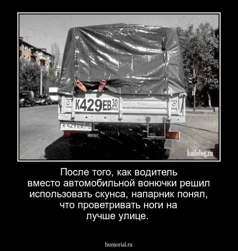 После того, как водитель вместо автомобильной вонючки решил использовать скунса, напарник понял, что проветривать ноги на лучше улице.