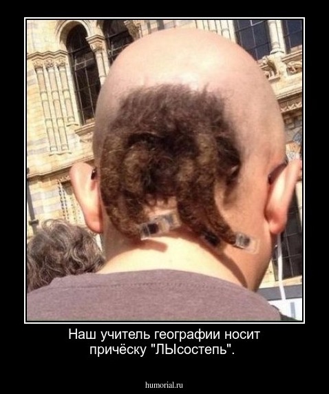  Наш учитель географии носит причёску "ЛЫсостепь".