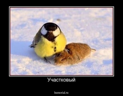 Участковый