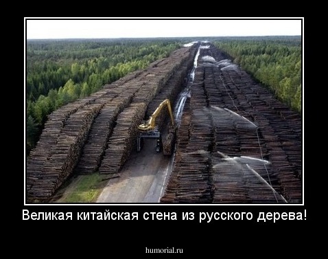 Великая китайская стена из русского дерева!