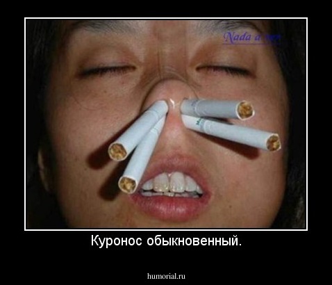 Куронос обыкновенный.