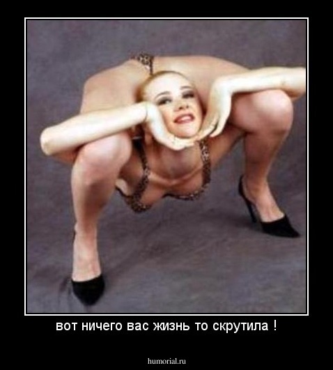 вот ничего вас жизнь то скрутила !