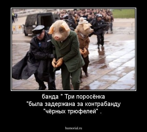 банда " Три поросёнка  "была задержана за контрабанду "чёрных трюфелей" .