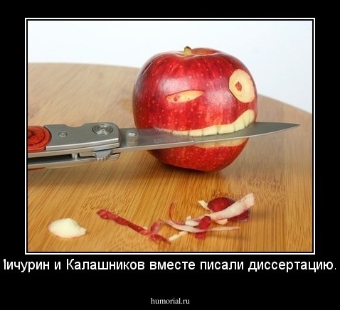 Мичурин и Калашников вместе писали диссертацию...