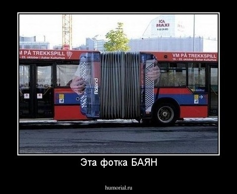 Эта фотка БАЯН