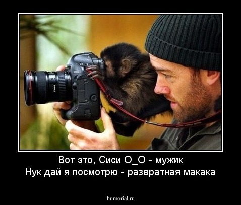 Вот это, Сиси О_О - мужик
Нук дай я посмотрю - развратная макака