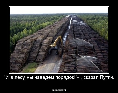 "И в лесу мы наведём порядок!"- , сказал Путин.