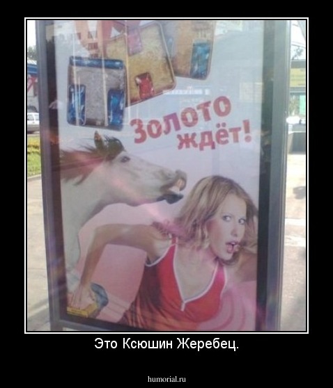 Это Ксюшин Жеребец.