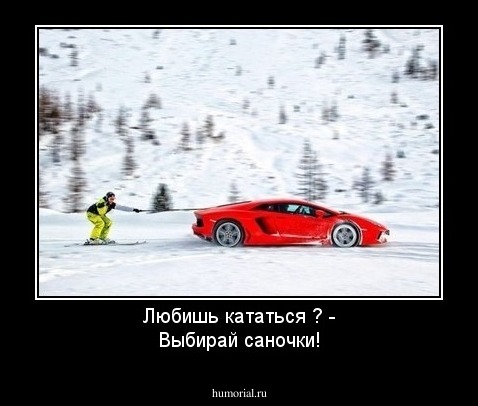 Любишь кататься ? -
Выбирай саночки!