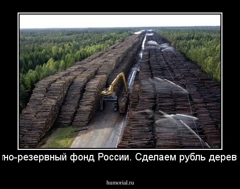 Валютно-резервный фонд России. Сделаем рубль деревянней.