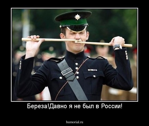 Береза!Давно я не был в России!