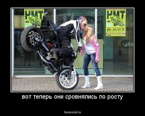 вот теперь они сровнялись по росту