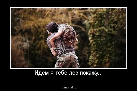 Идем я тебе лес покажу...