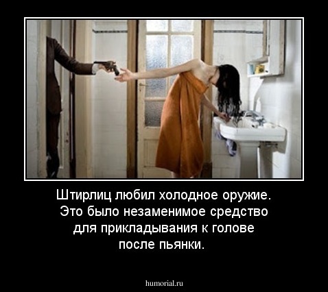 Штирлиц любил холодное оружие. Это было незаменимое средство для прикладывания к голове после пьянки. 