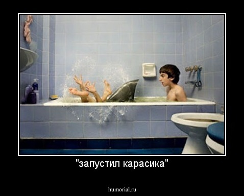 "запустил карасика"