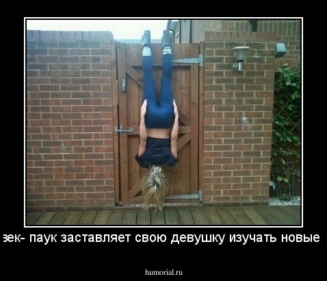 Человек- паук заставляет свою девушку изучать новые позы 