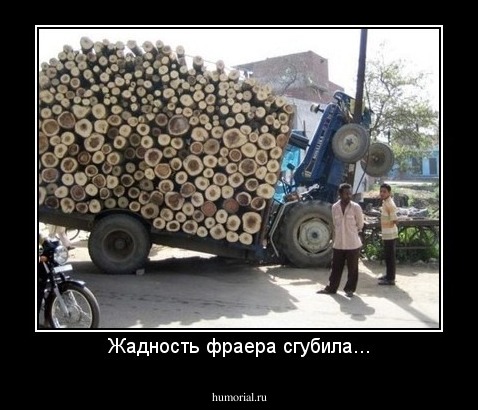 Жадность фраера сгубила...