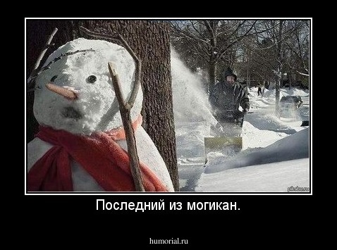 Последний из могикан.
