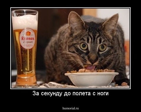 За секунду до полета с ноги