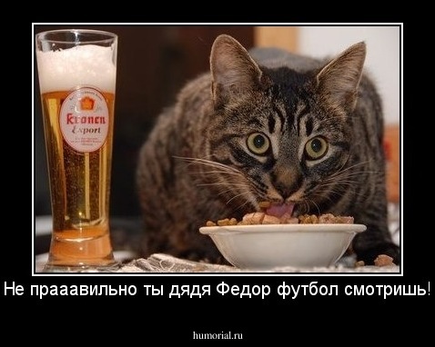 Не прааавильно ты дядя Федор футбол смотришь!