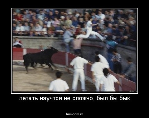 летать научтся не сложно, был бы бык
