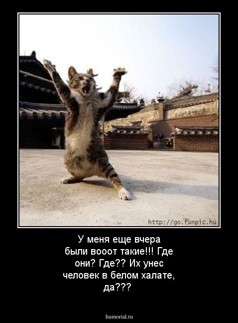 У меня еще вчера были вооот такие!!! Где они? Где?? Их унес человек в белом халате, да??? 
