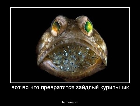 вот во что превратится зайдлый курильщик