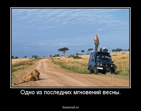 Одно из последних мгновений весны.