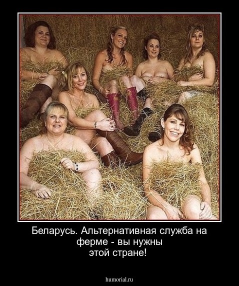 Беларусь. Альтернативная служба на ферме - вы нужны этой стране!