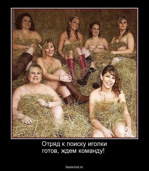 Отряд к поиску иголки готов, ждем команду! 