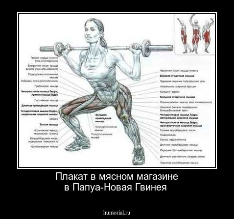 Плакат в мясном магазине в Папуа-Новая Гвинея 