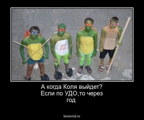 А когда Коля выйдет? Если по УДО,то через год