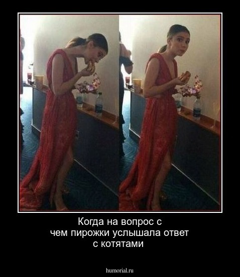 Когда на вопрос с чем пирожки услышала ответ с котятами 