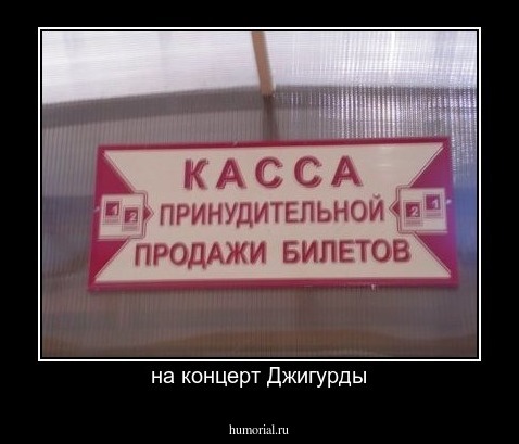 на концерт Джигурды