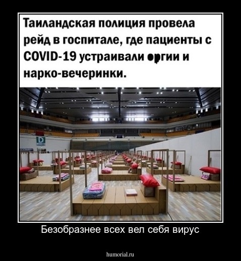 Безобразнее всех вел себя вирус