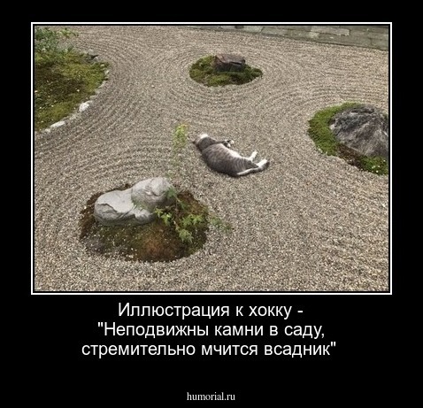 Иллюстрация к хокку - "Неподвижны камни в саду, стремительно мчится всадник" 