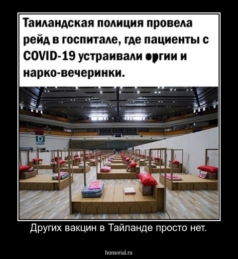 Других вакцин в Тайланде просто нет.