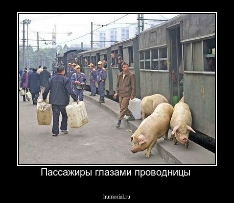 Пассажиры глазами проводницы 