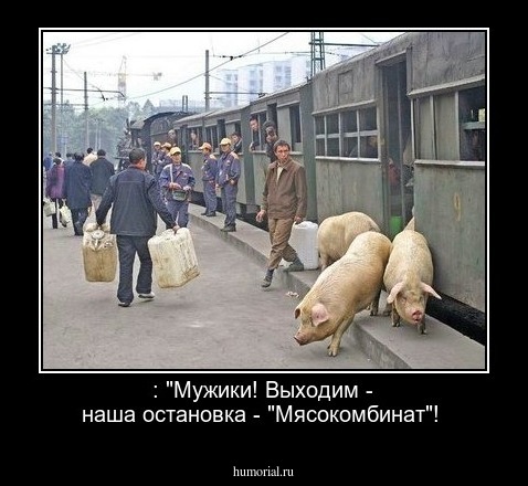  : "Мужики! Выходим - наша остановка - "Мясокомбинат"!