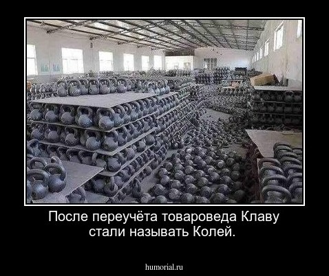 После переучёта товароведа Клаву стали называть Колей.