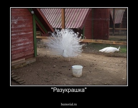 "Разукрашка"