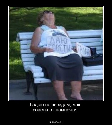 Гадаю по звёздам, даю советы от лампочки.