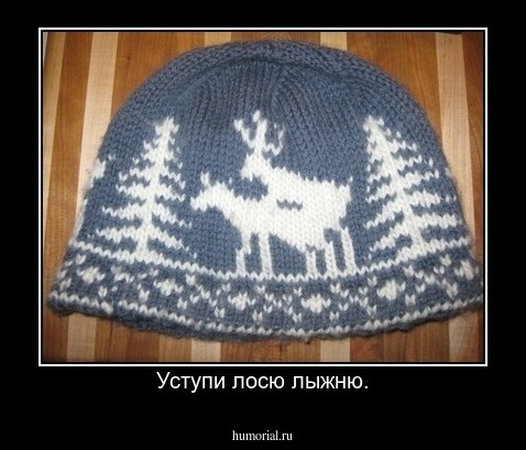 Уступи лосю лыжню.
