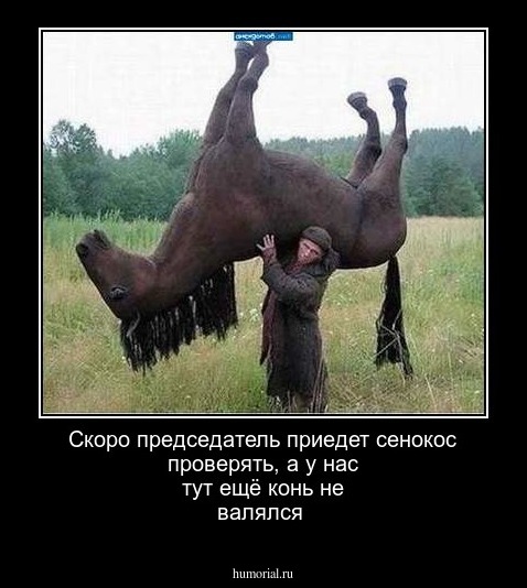 Скоро председатель приедет сенокос проверять, а у нас тут ещё конь не валялся
