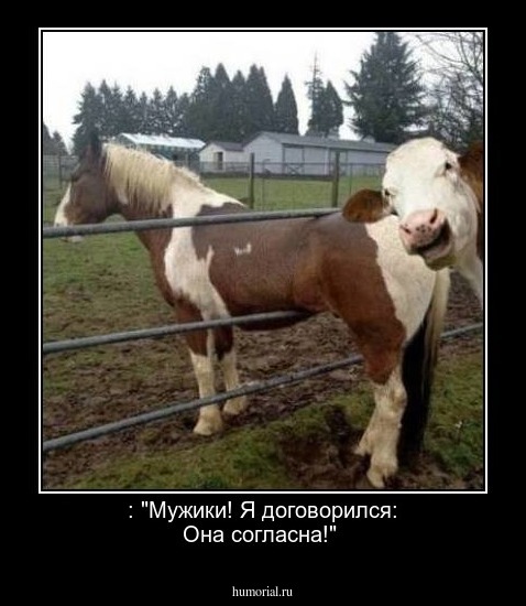  : "Мужики! Я договорился: Она согласна!"