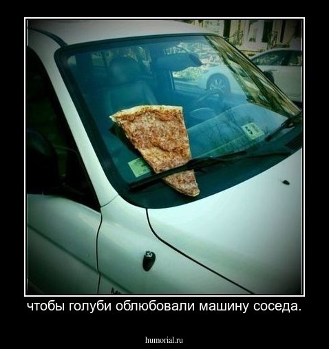 чтобы голуби облюбовали машину соседа.