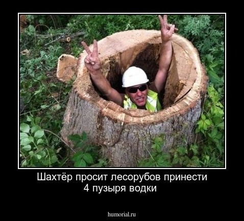 Шахтёр просит лесорубов принести 4 пузыря водки