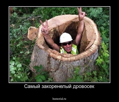 Самый закоренелый дровосек
